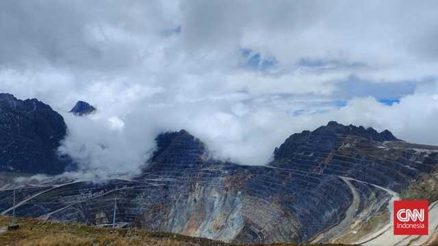 Freeport *belum konfirmasi* divestasi 12 persen saham ke RI