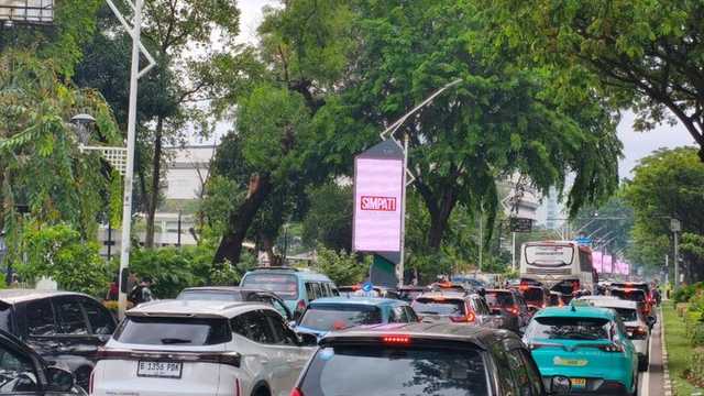 Search image article