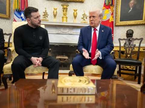 Search image article