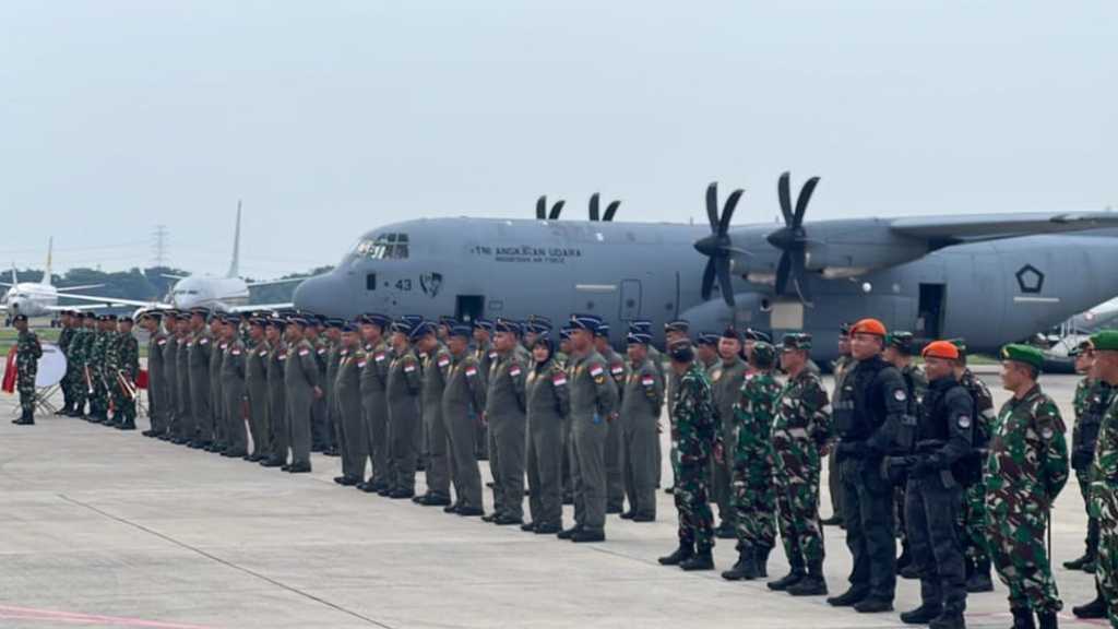 Search image article