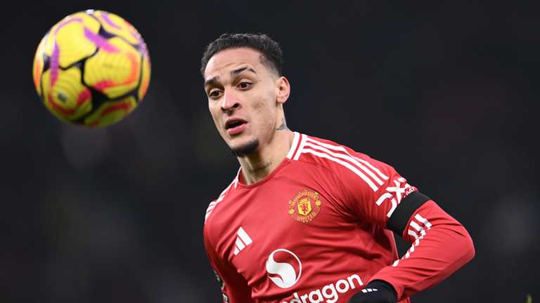 Search image article