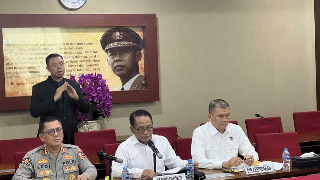 Search image article