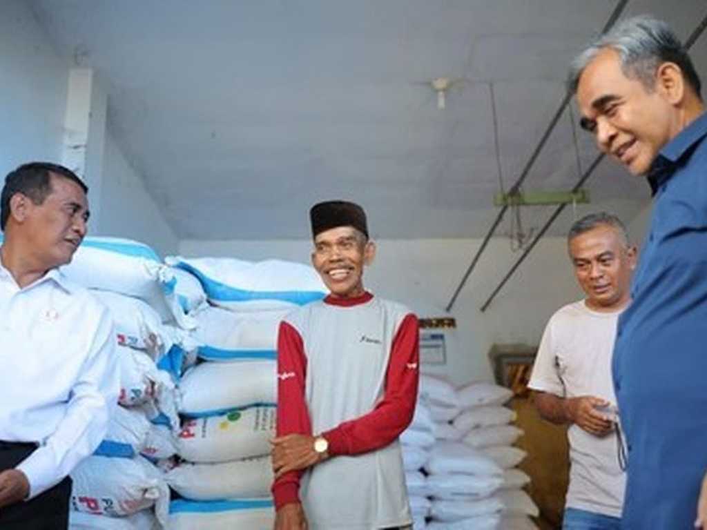 Search image article