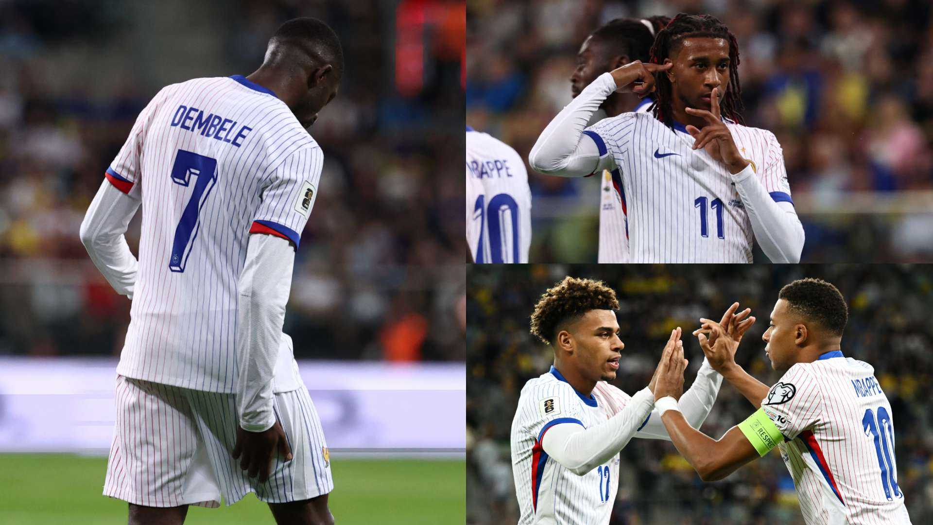 Search image article