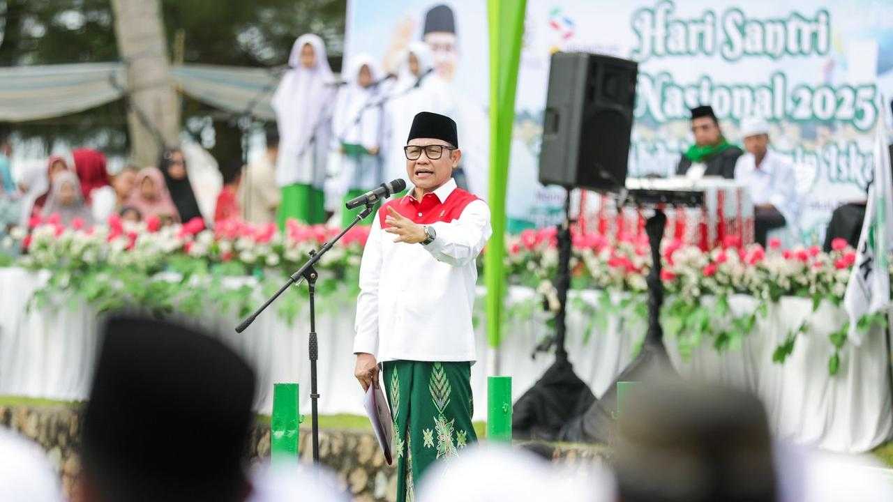 Search image article