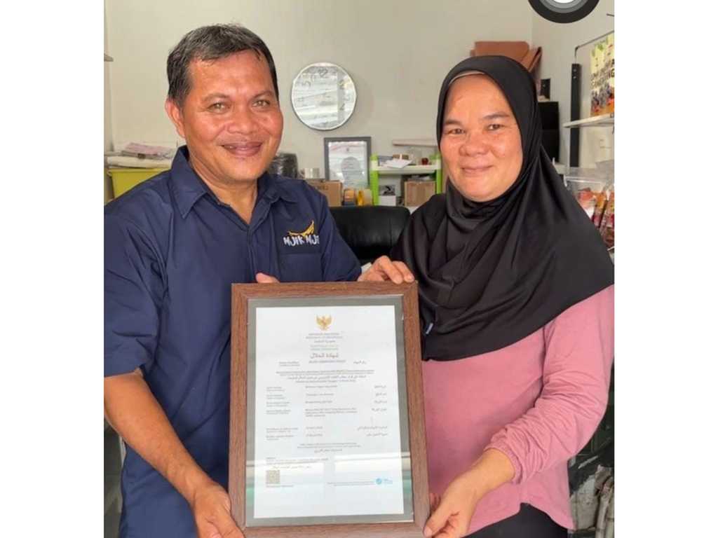 Search image article