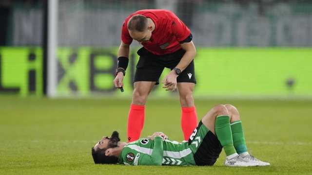 Search image article