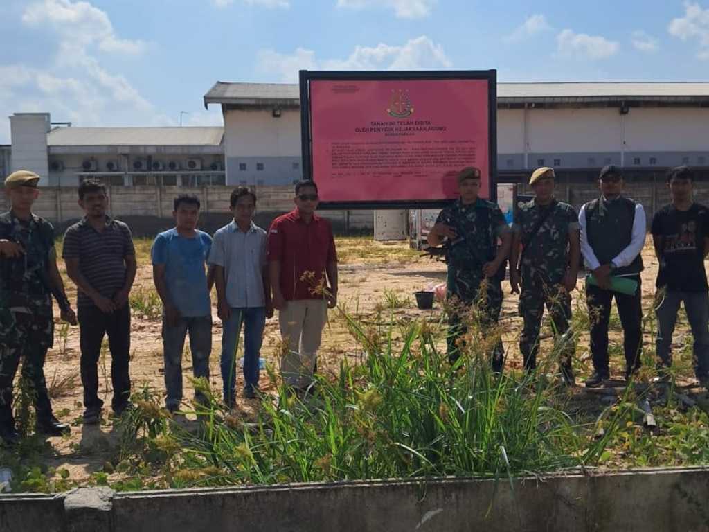 Search image article