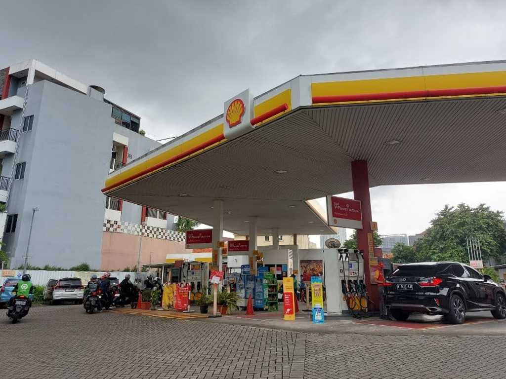 Search image article