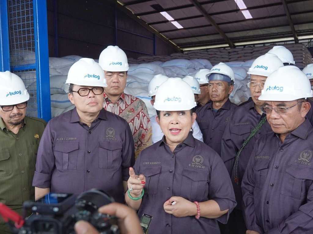 Search image article