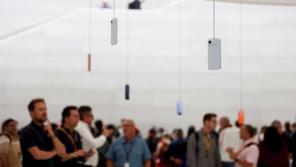 Search image article