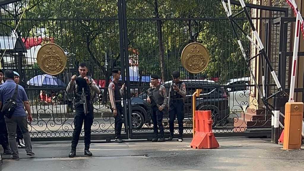 Search image article