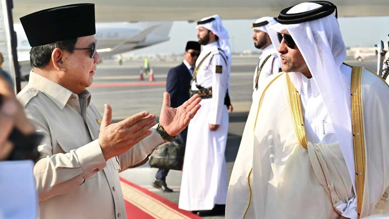 Search image article