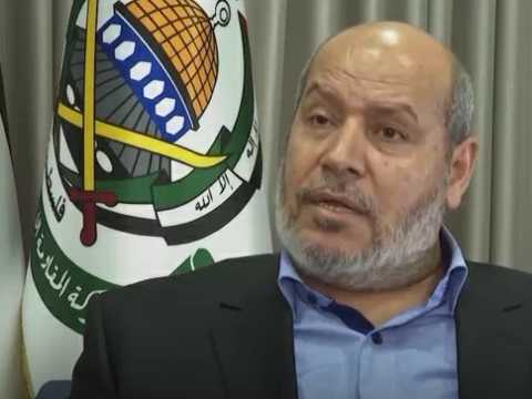 Search image article