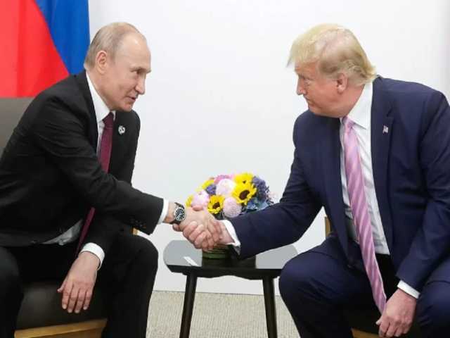 Search image article