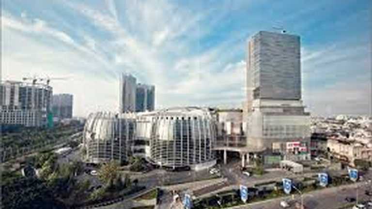 Search image article