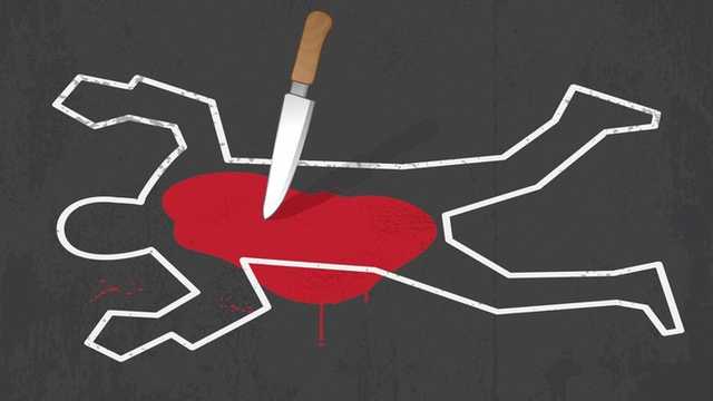 Search image article