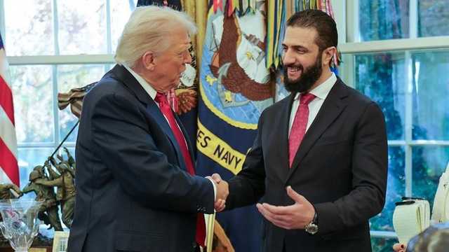 Search image article