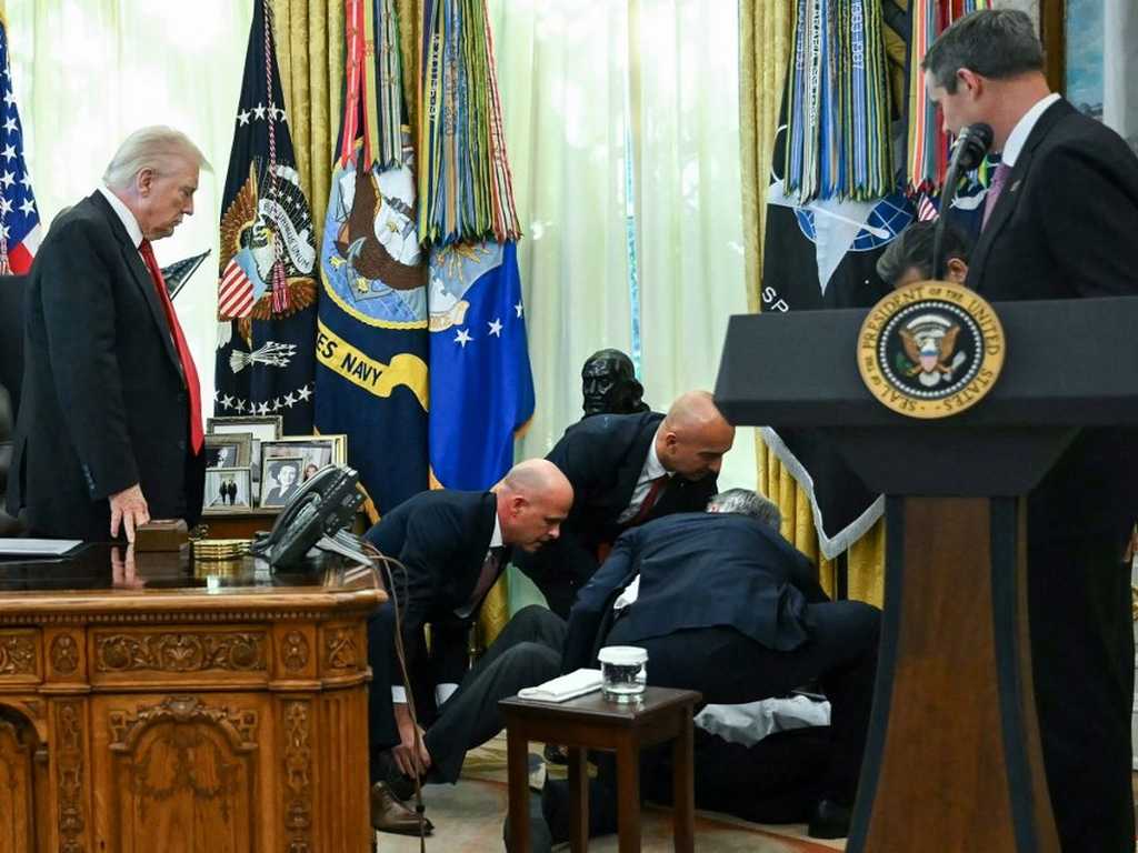 Search image article