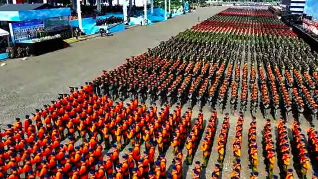 Search image article