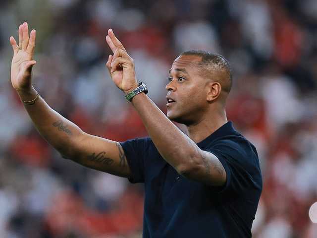 Search image article