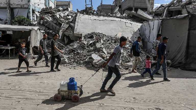 Search image article