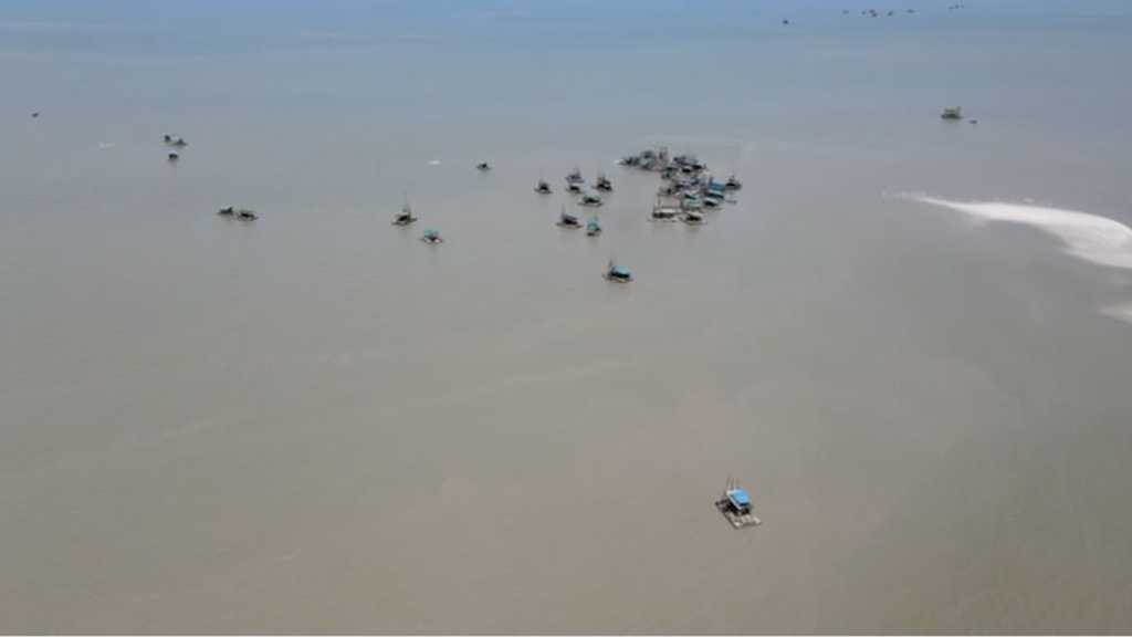 Search image article