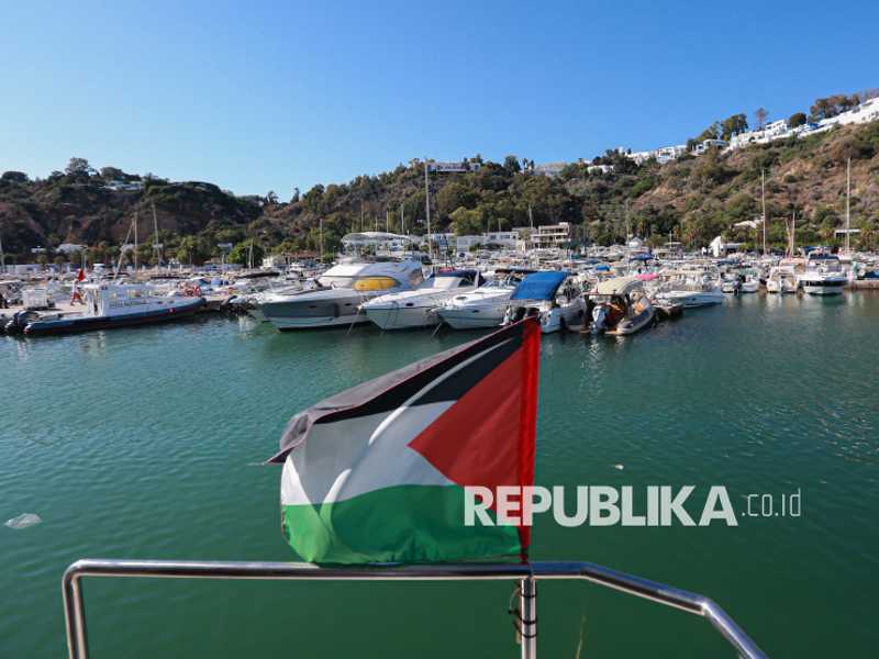 Search image article