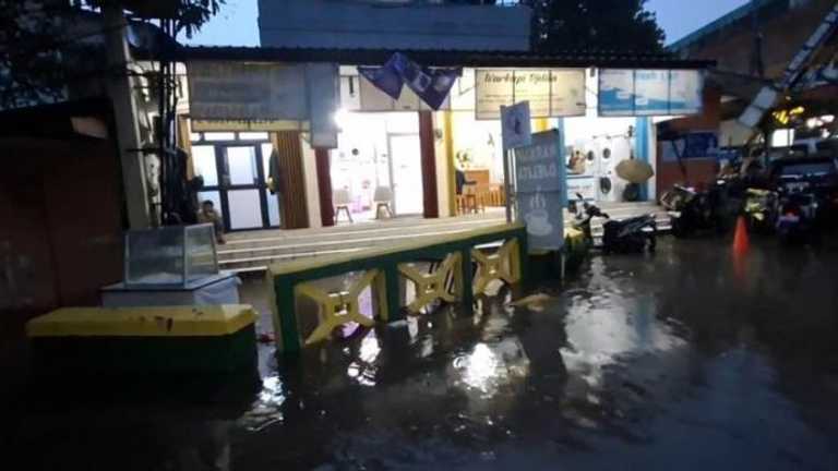 Search image article