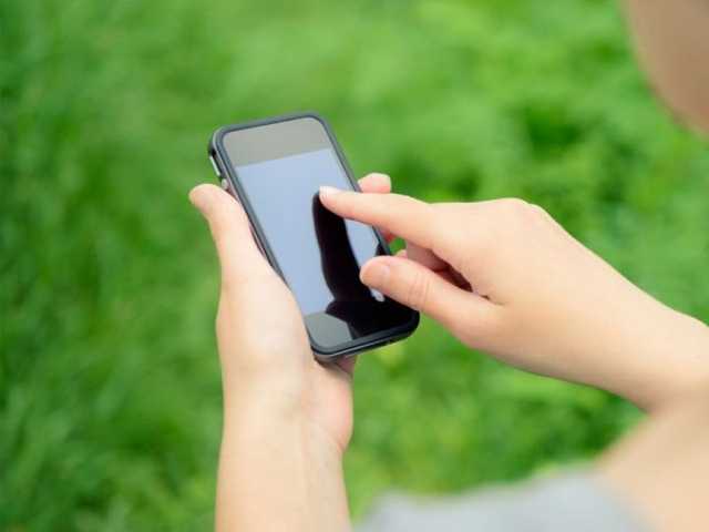 Search image article