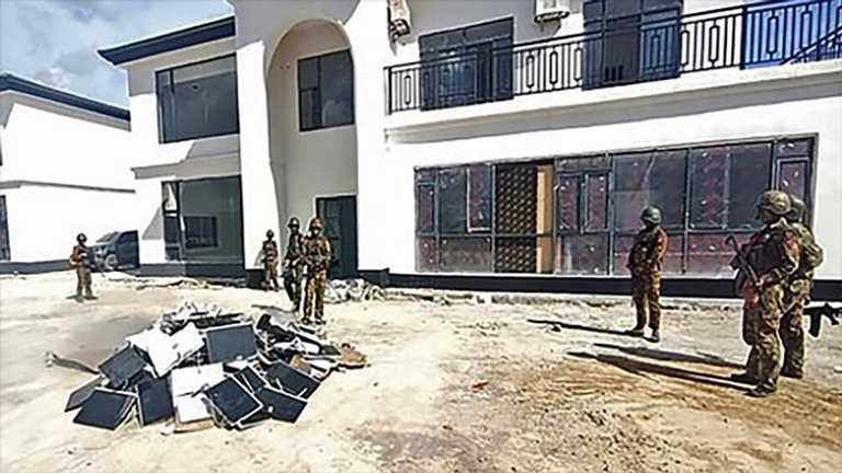 Search image article