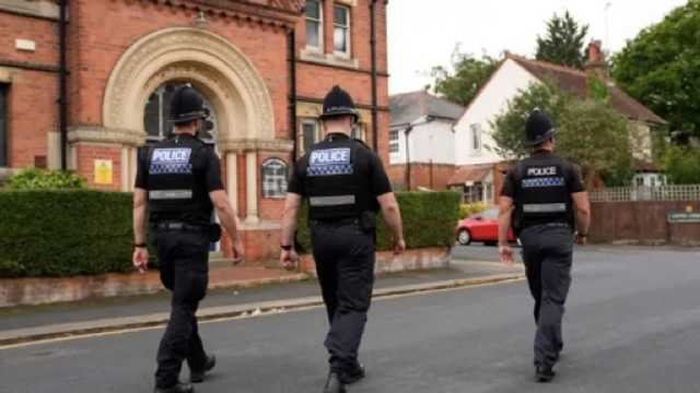 Search image article