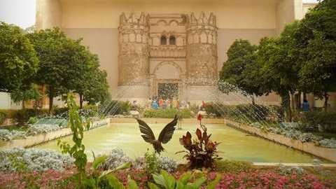 Search image article