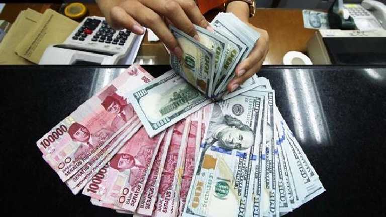 Search image article