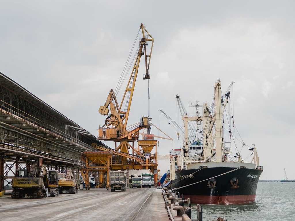 Search image article