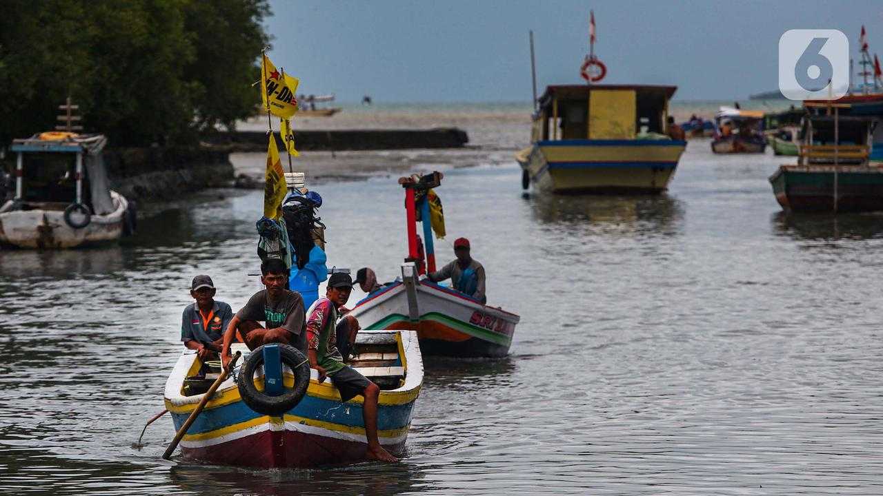 Search image article