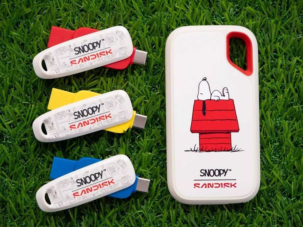 Search image article