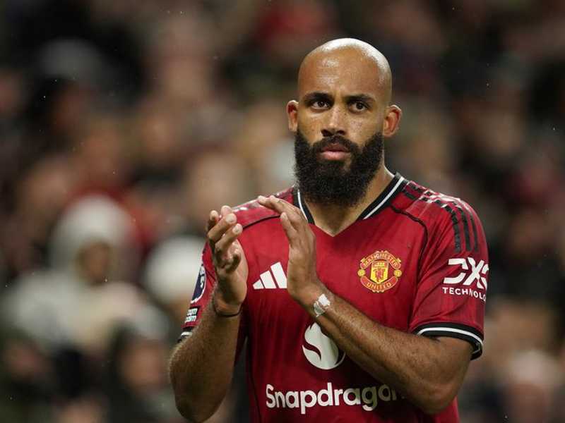 Search image article