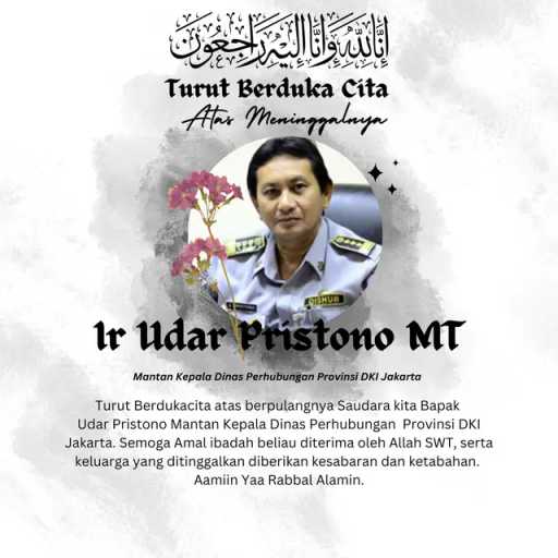 Search image article