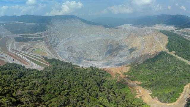 Search image article