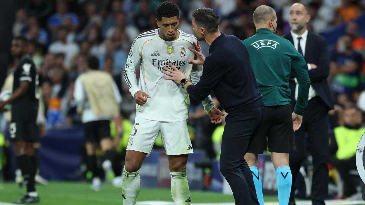 Search image article