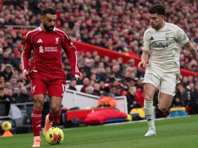 Search image article