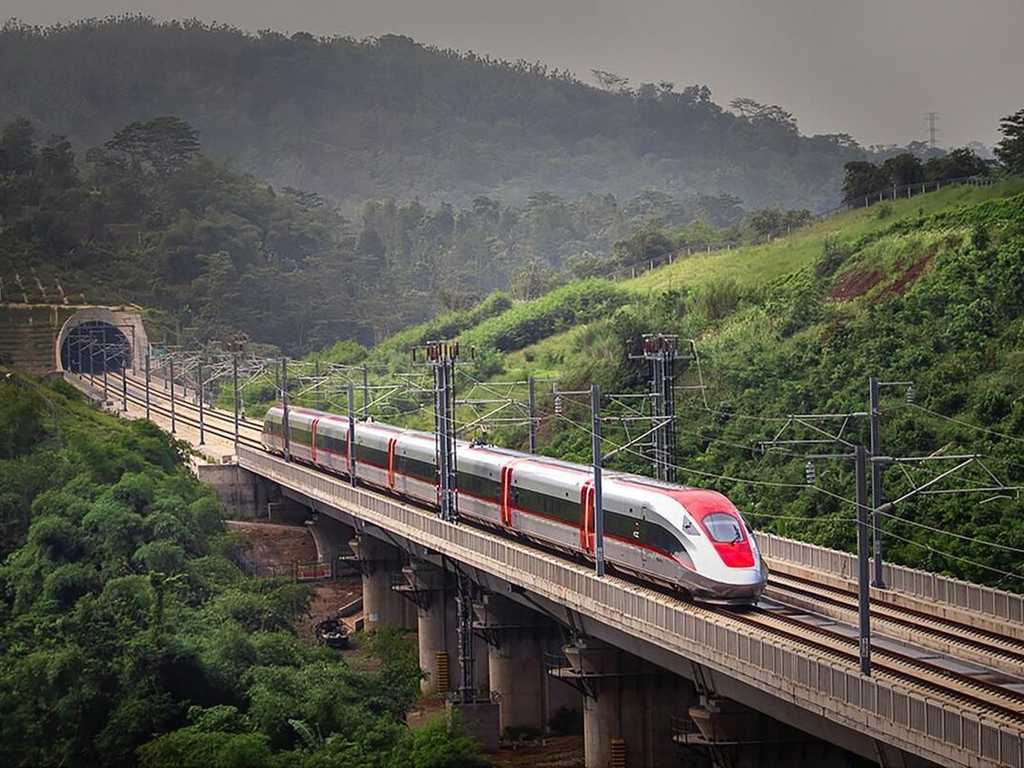 Search image article