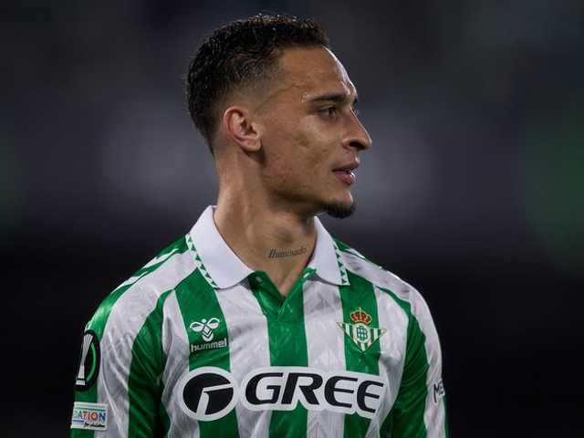 Search image article