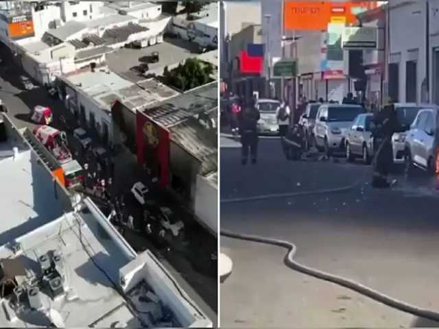 Search image article