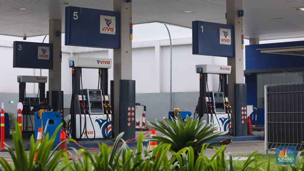 Search image article