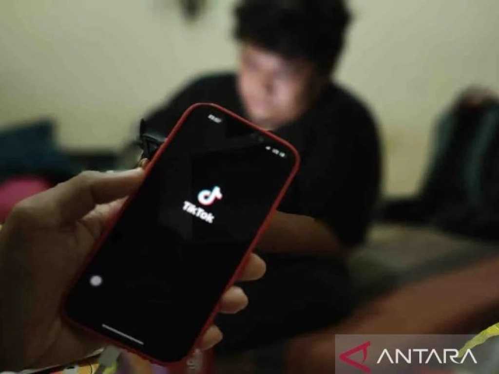 TikTok Resmi Hadirkan Fitur DM Terbaru: Pesan Suara & Gambar, Waspada Auto-Kirim!
