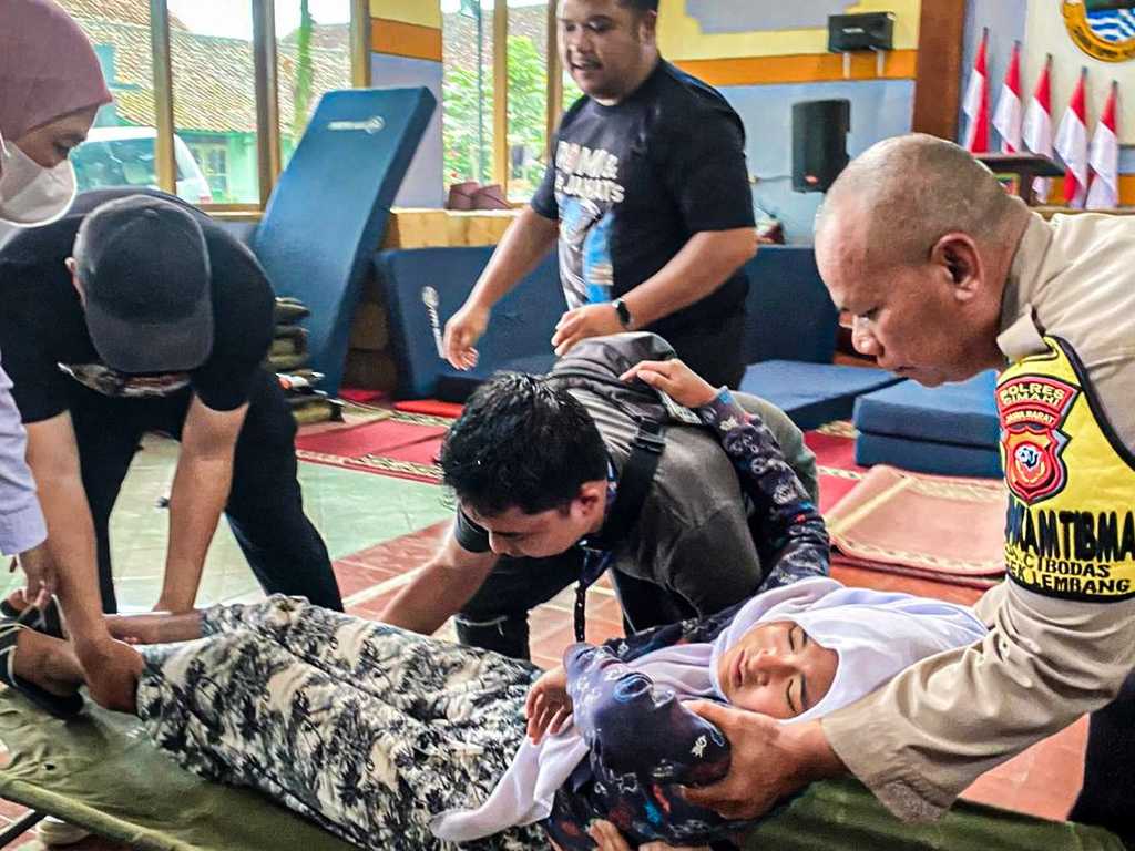 Search image article