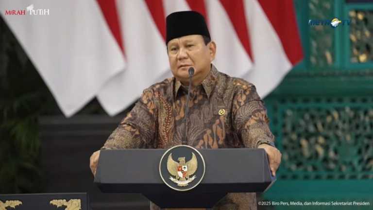 Search image article