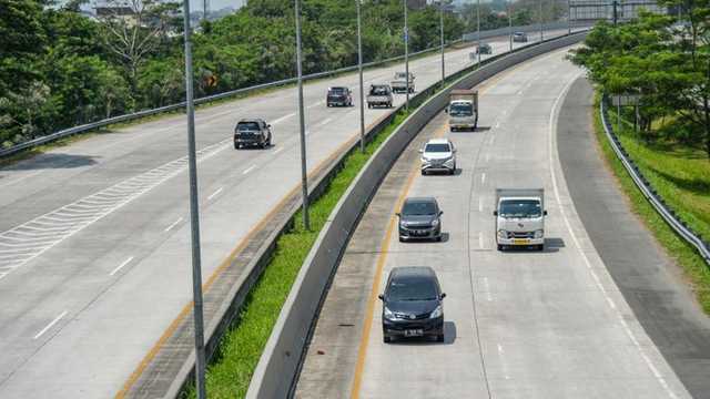 Search image article